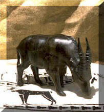 Savanna Antelope